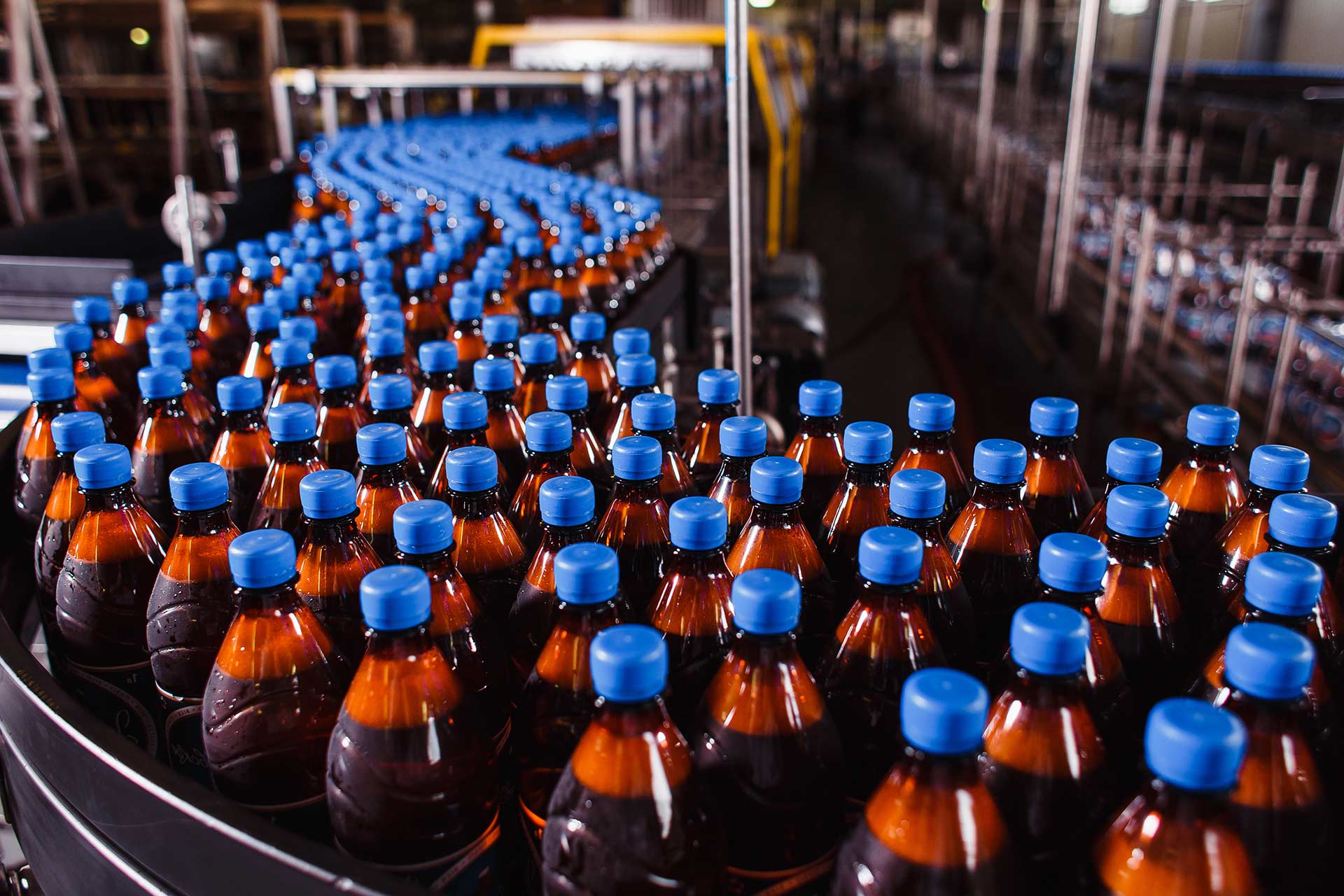Bottles with blue caps on an assembly line in a factory setting